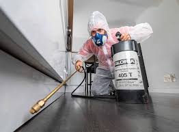 Best Fumigation Services  in Grand Saline, TX