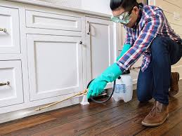 Best Residential Pest Control  in Grand Saline, TX